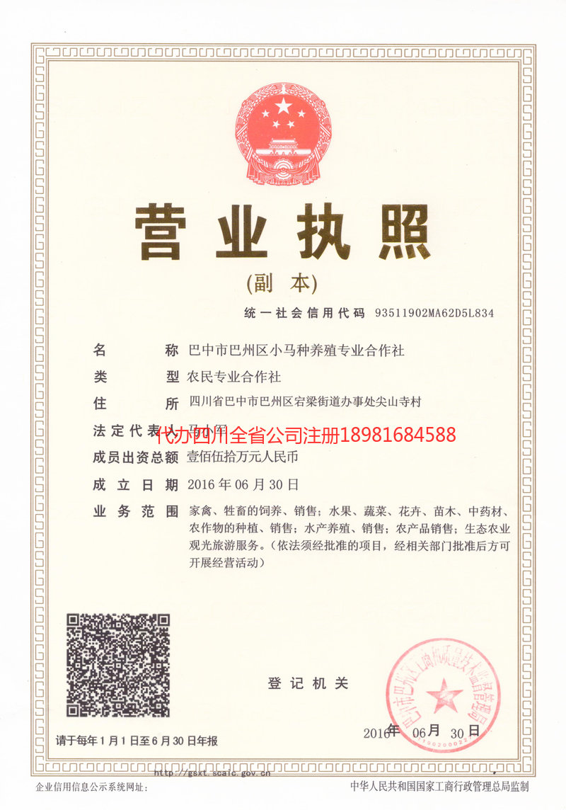 罗定罗定小马种养殖专业合作社